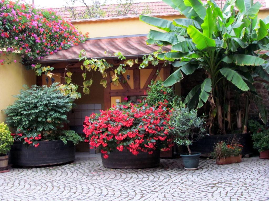 Gite Fruehmess Itterswiller Exterior foto
